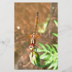 Artistic Dragonfly Resting On A Flower Head Stationery
