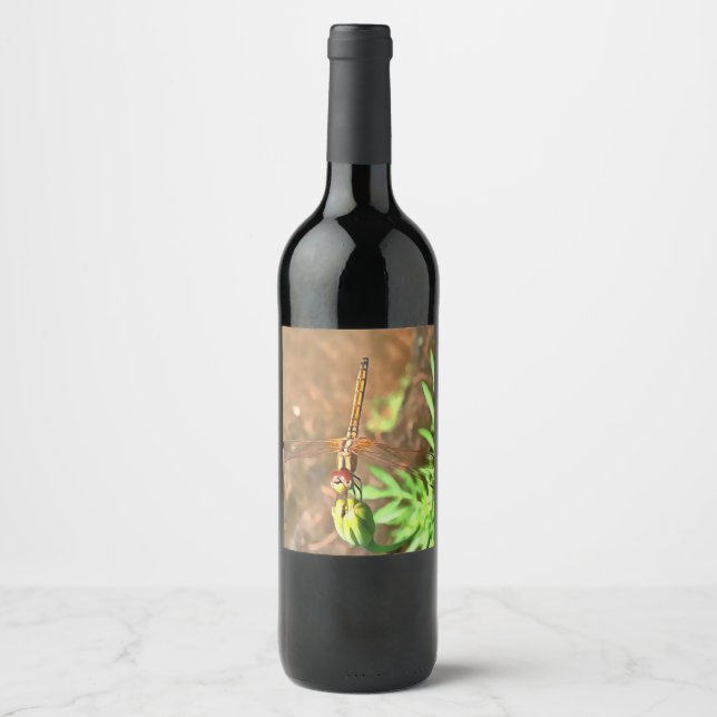 Artistic Dragonfly Resting On A Flower Head Wine Label (Front)