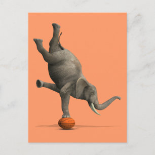 Artistic Elephant Postcard