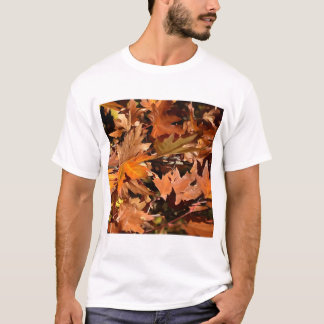 Artistic Fall Leaves In Autumn Sunshine 2 T-Shirt