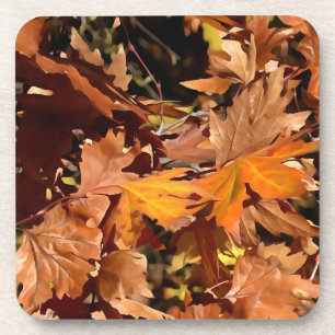 Artistic Fall Leaves In Autumn Sunshine Coaster