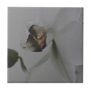 Artistic Flower in Grey Tones Tile