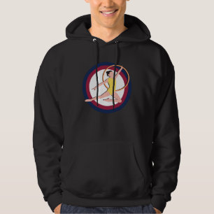 Artistic Gymnastics USA olympic gymnasts USA Hoodie