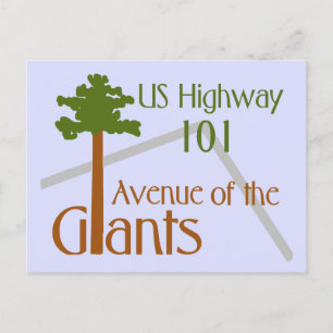 Artistic Image Avenue of the Giants Postcard
