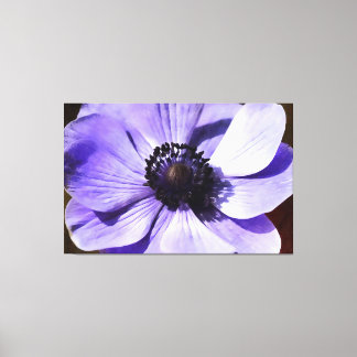 Artistic Lilac Blue Anemone Wildflower Canvas Print