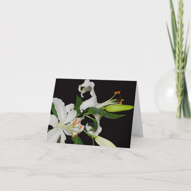 Artistic Lily Collection-Greeting Cards (Front)