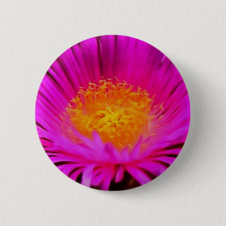 Artistic Magenta Pink Aster Flower Floral Art 6 Cm Round Badge