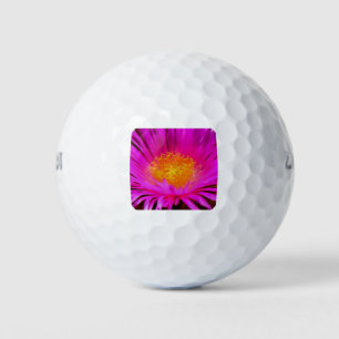 Artistic Magenta Pink Aster Flower Floral Art Golf Balls