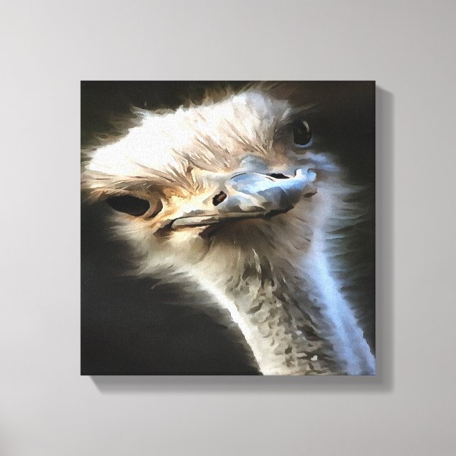 Artistic Ostrich Portrait With Goofy Expression Canvas Print (Front)