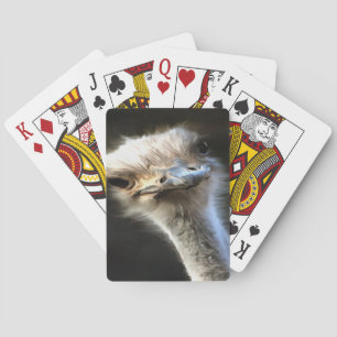 Artistic Ostrich Portrait With Goofy Expression Playing Cards