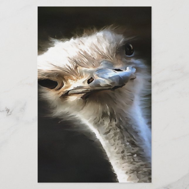 Artistic Ostrich Portrait With Goofy Expression Stationery (Front)
