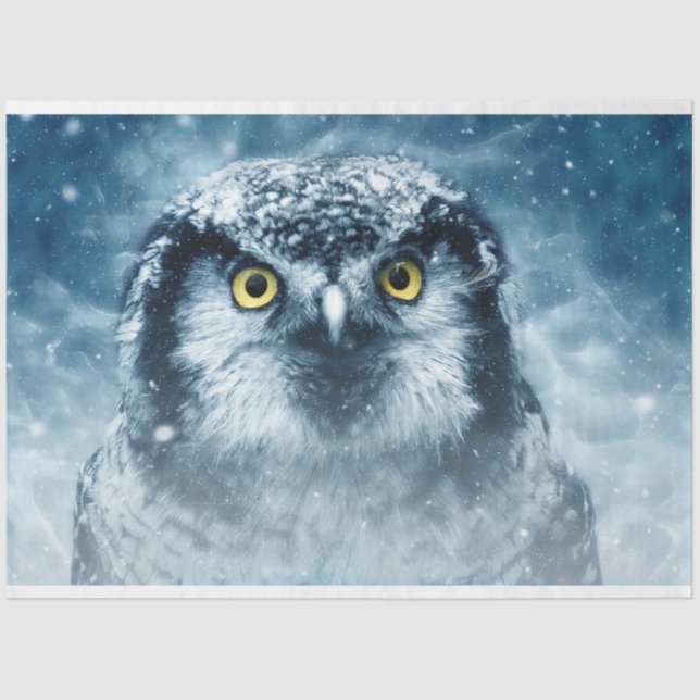 Artistic Owl Watercolor Art 20x30  Decoupage Tissue Paper (Front)