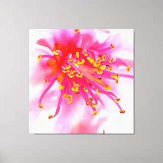 Artistic Peach Blossom Macro Abstract Canvas Print
