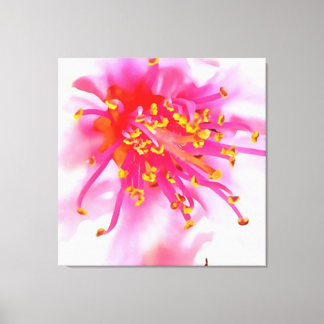 Artistic Peach Blossom Macro Abstract Canvas Print (Front)