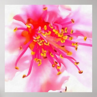 Artistic Peach Blossom Macro Abstract Poster