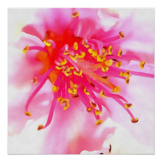 Artistic Peach Blossom Macro Abstract Poster