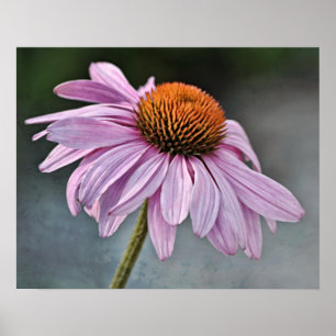 Artistic Pink Flower Photographic Art Print