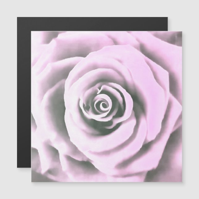 Artistic Pink Rose  rb (Front/Back)