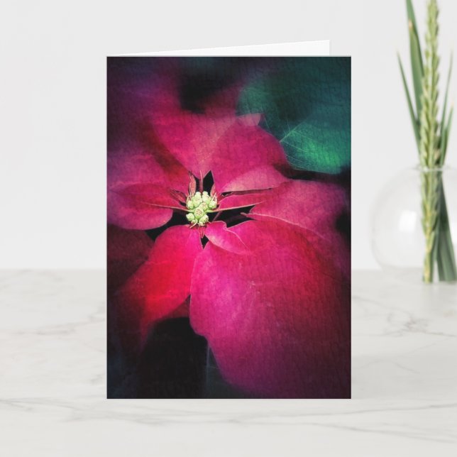 Artistic Poinsettia Christmas Card (Front)