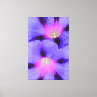 Artistic Purple and Pink Coloured Morning Glory Canvas Print