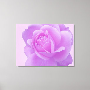 Artistic purple camellia flower Floral photo art Canvas Print