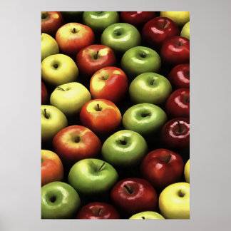 Artistic Red and Green Apples Displayed  Poster