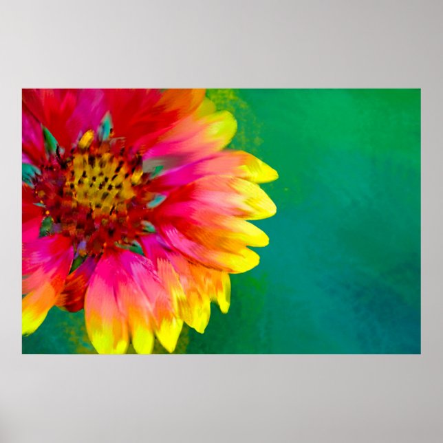 Artistic rendition of Indian Blanket flower Poster (Front)