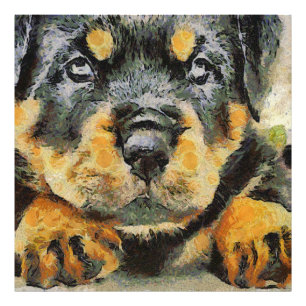 Artistic Rottweiler Puppy Portrait Photo Print