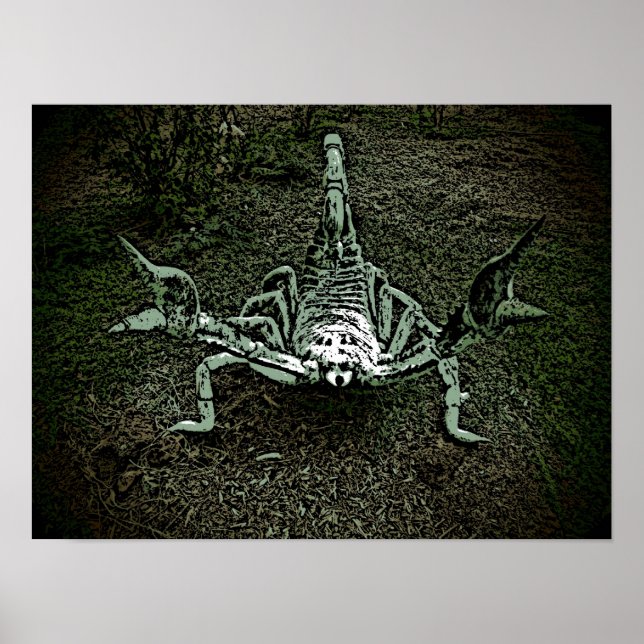 Artistic scorpion decorative poster (Front)
