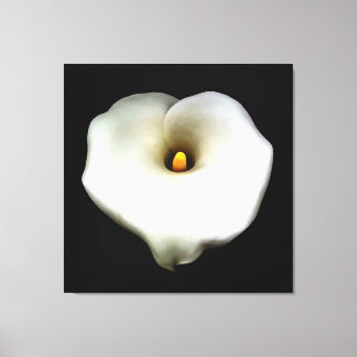 Artistic Single Heart Shaped Calla Lily Isolated Canvas Print