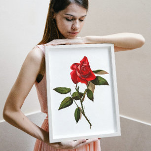 Artistic Single Stem Red Rose Poster