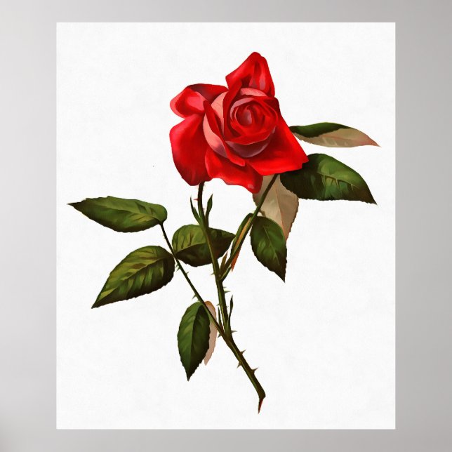 Artistic Single Stem Red Rose Poster (Front)