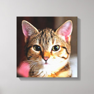 Artistic Tabby Cat Kitten Portrait Canvas Print