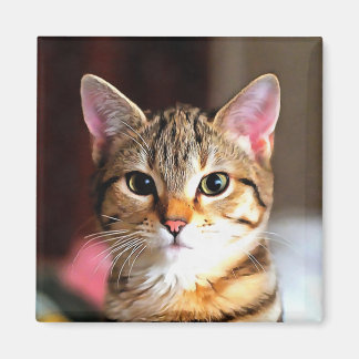 Artistic Tabby Cat Kitten Portrait Magnet