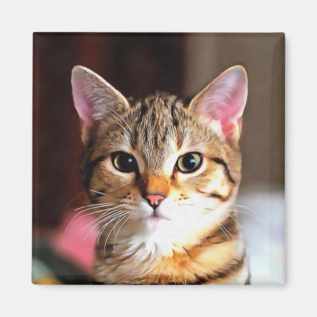 Artistic Tabby Cat Kitten Portrait Magnet (Front)