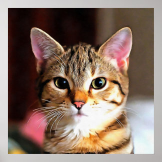 Artistic Tabby Cat Kitten Portrait Poster