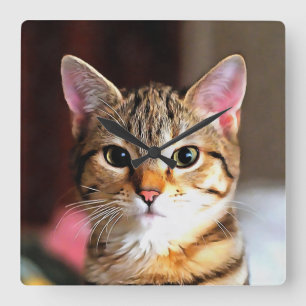 Artistic Tabby Cat Kitten Portrait Square Wall Clock