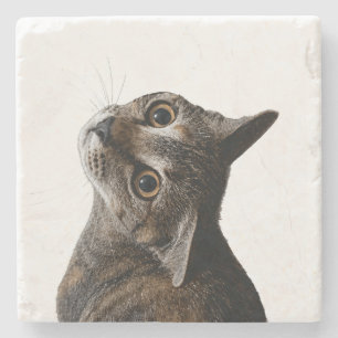 Artistic Tabby Cat Portrait Photo Stone Coaster