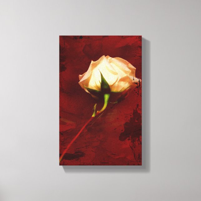 Artistic White Rose Canvas Wrap Print (Front)