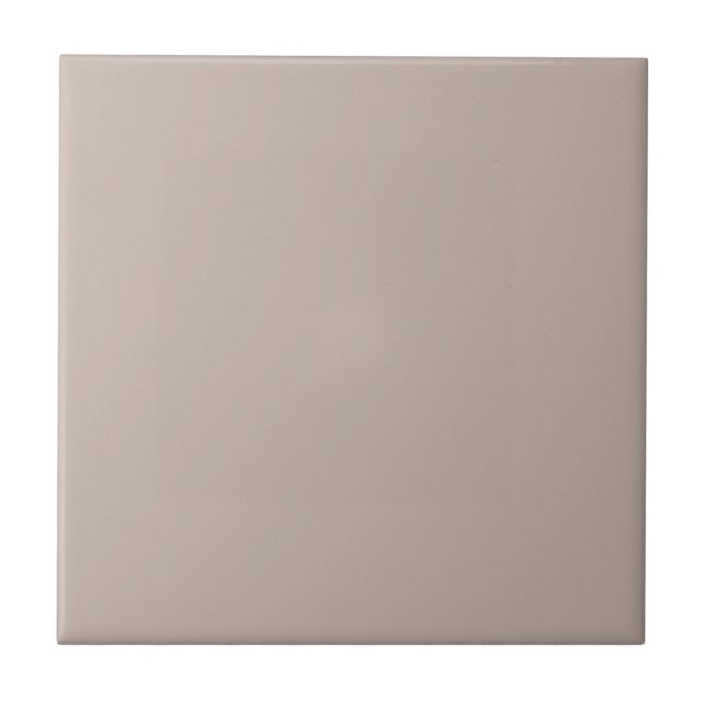 Artistically Taupe Square Kitchen and Bathroom Tile (Front)