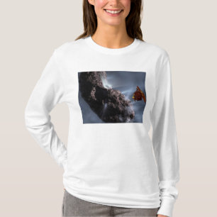 Artist's concept of Deep Impact's Encounter T-Shirt