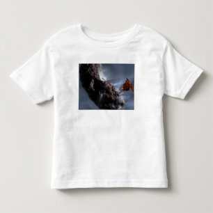 Artist's concept of Deep Impact's Encounter Toddler T-Shirt