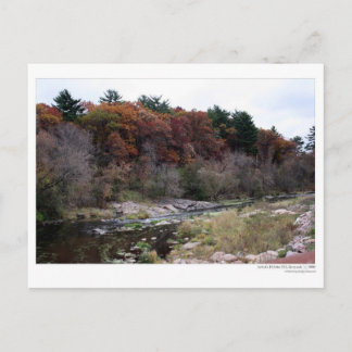 Artist's Palette Postcard