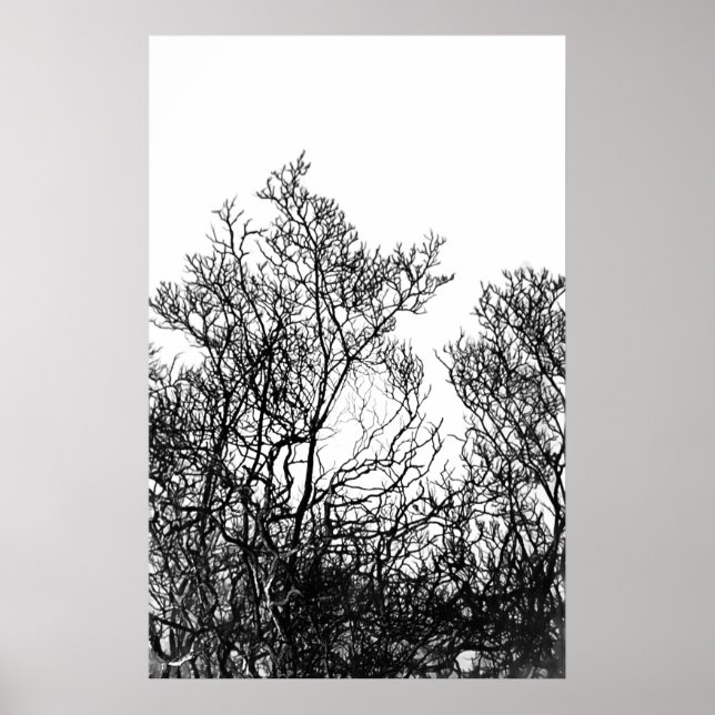 Artsy Black and White Tree Modern Poster (Front)