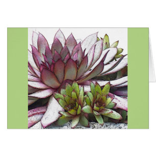 Artsy Hens and Chicks