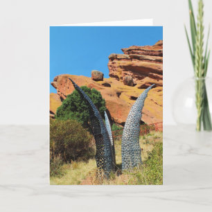 Artwork in Red Rocks park Holiday Card