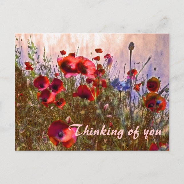 Arty poppies! postcard (Front)