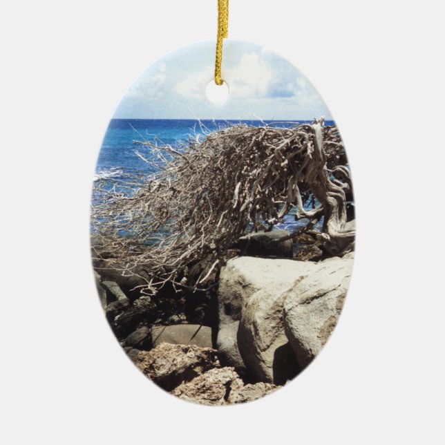 Aruba Divi Divi Tree At The Ocean Ceramic Tree Decoration (Front)