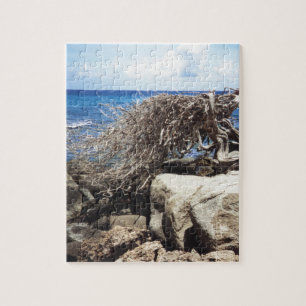 Aruba Divi Divi Tree At The Ocean Jigsaw Puzzle