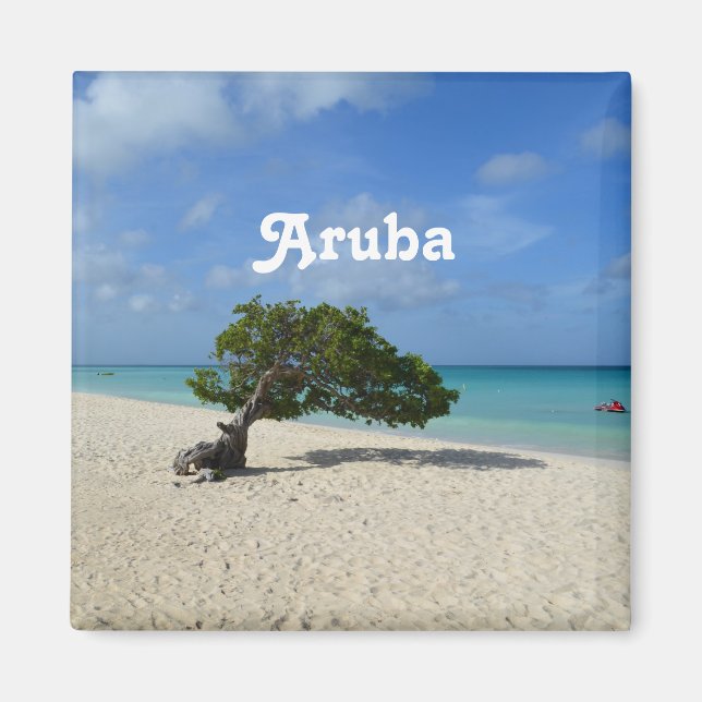 Aruba Divi Divi Tree Magnet (Front)